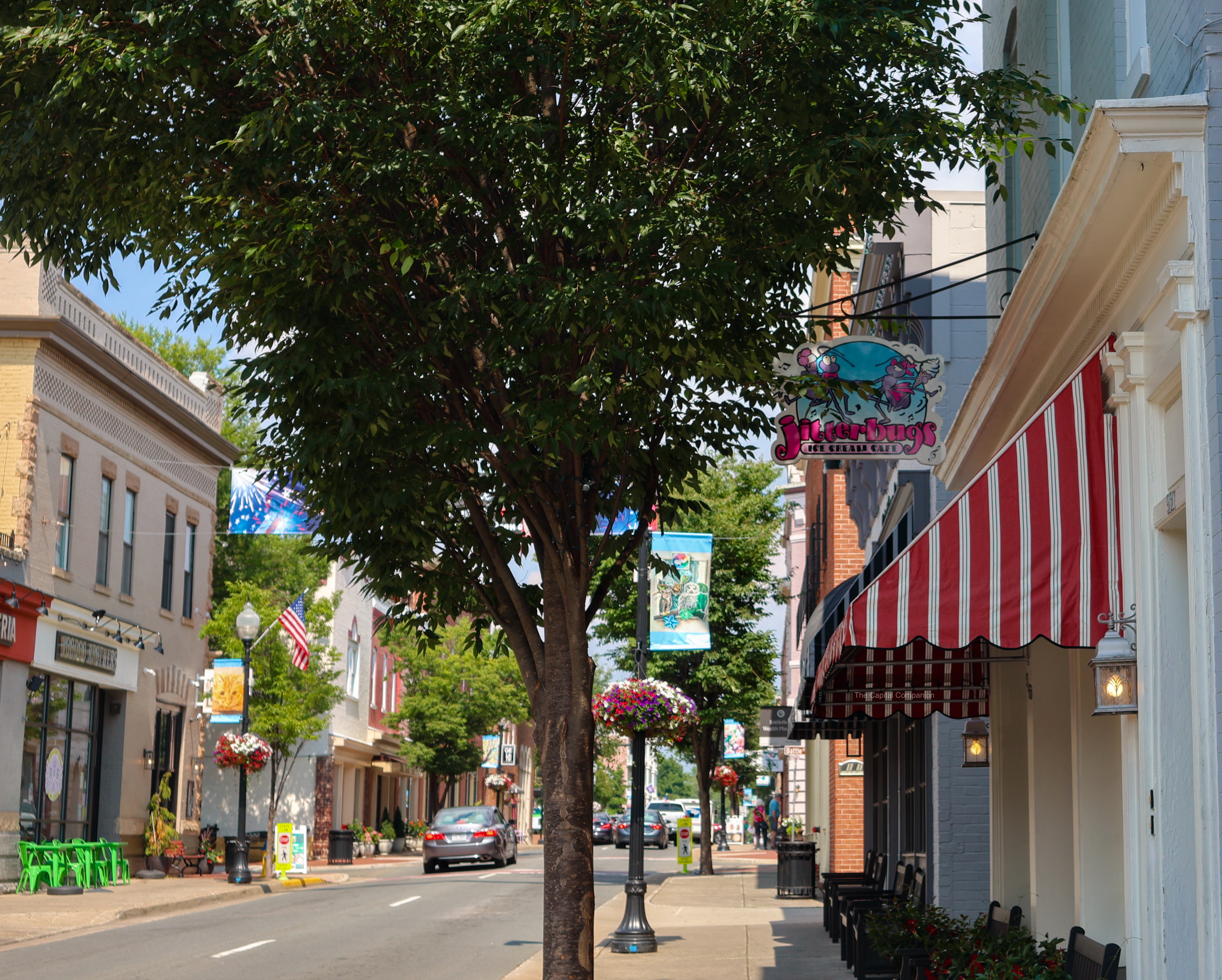 Best Ice Cream Shops in Manassas, Virginia