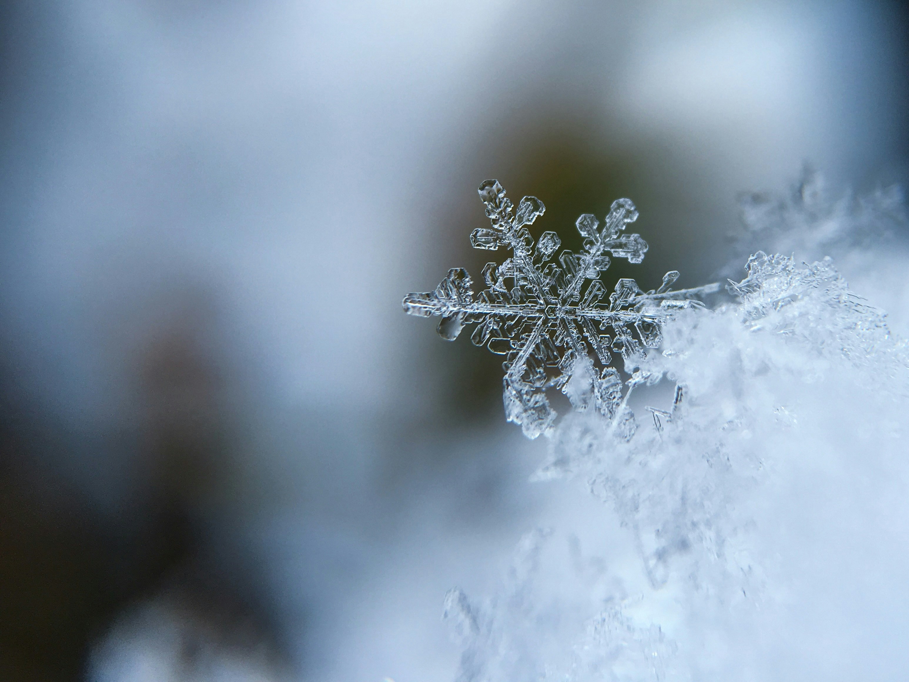 Winter Events in Manassas, Virginia: Holiday Celebrations, Markets and Parades